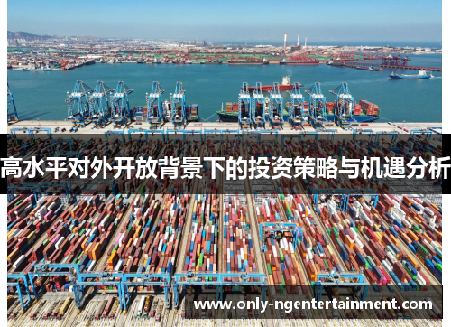 高水平对外开放背景下的投资策略与机遇分析